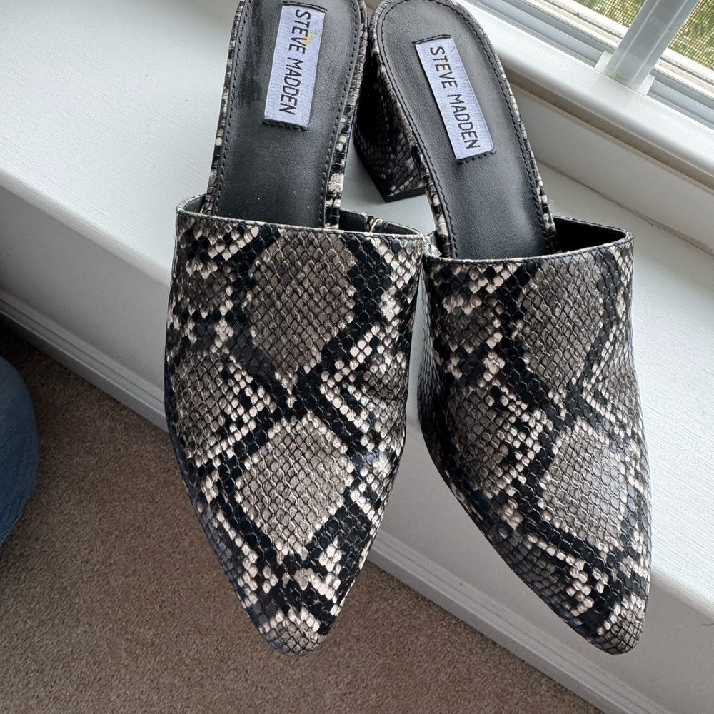 Steve Madden Snake Print Women's Mules